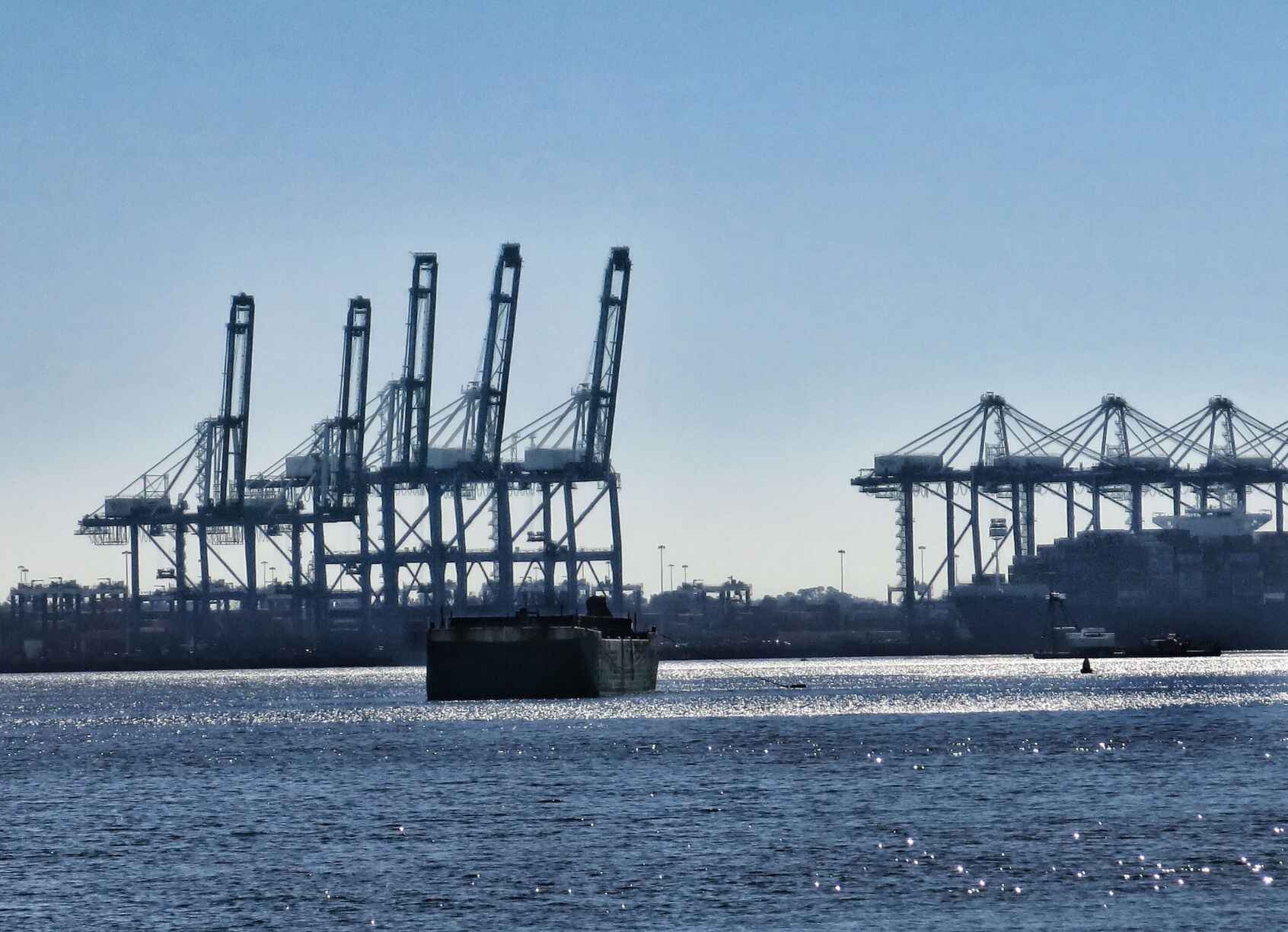 Window view of the Wando terminal